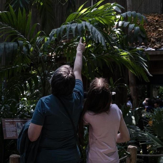 Former students share memories of the Ontario Science Centre's school